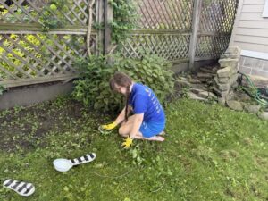 Sarah is wearing a blue t-shirt and blue shorts, kneeling on green grass near a high fence. Her black and white flip-flops are next to her and next to a white bowl she is filling with weeds.