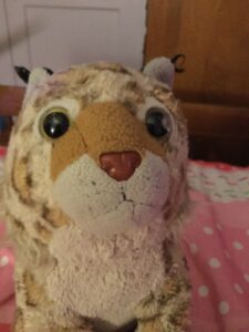 Close up of beige and brown bobcat stuffed animal with a brown plastic nose and black eyes. 